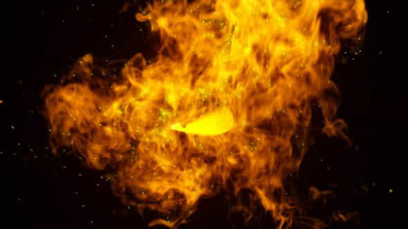 Fire Butterfly Trails Logo - VideoHive 48534607