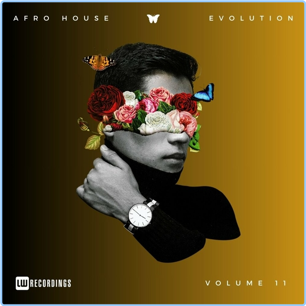 Various Artists - Afro House Evolution, Vol 11 (2024) WEB [FLAC] 16BITS 44 1KHZ Km6sNozu_o