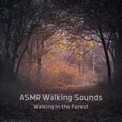 ASMR Walking Sounds - Walking in the Forest - 2022