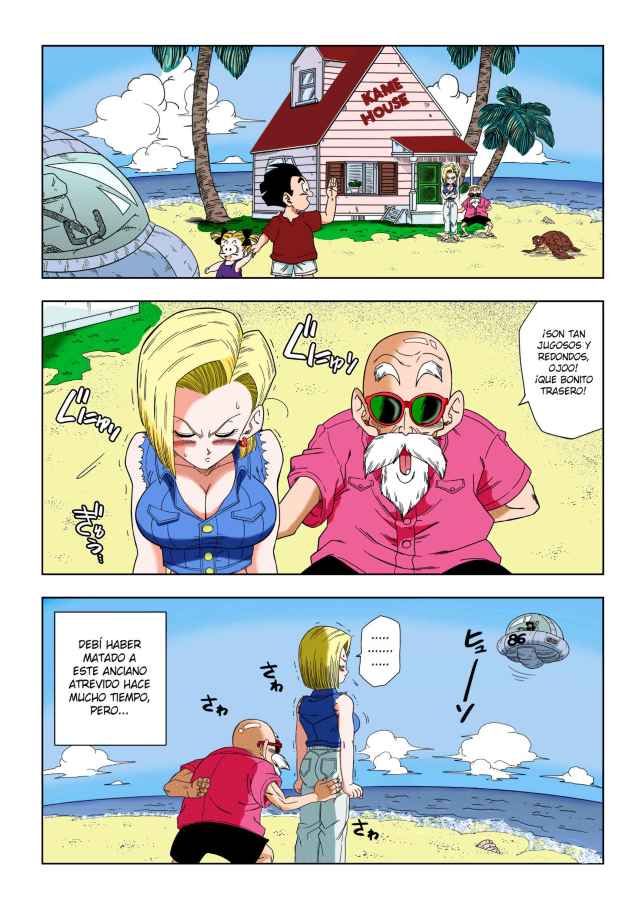 DBZ N18 Vs el Maestro Roshi Color - 1