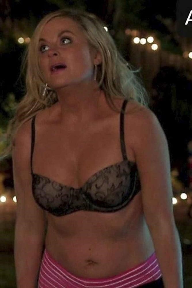Naked pictures of amy poehler-8075