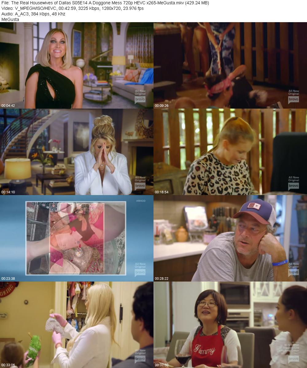 The Real Housewives of Dallas S05E14 A Doggone Mess 720p HEVC x265