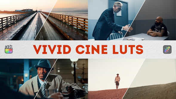 Vivid Cine Luts Fcpx Apple Motion - VideoHive 50896161