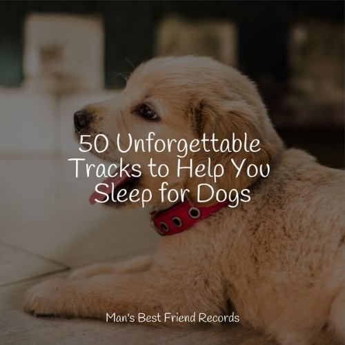 Sleepy Dogs - 50 Unforgettable Tracks to Help You Sleep for Dogs - 2022