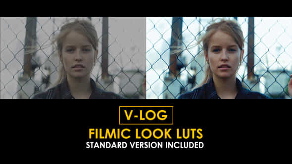 Vlog Filmic Look And Standard Color Luts - VideoHive 51378535