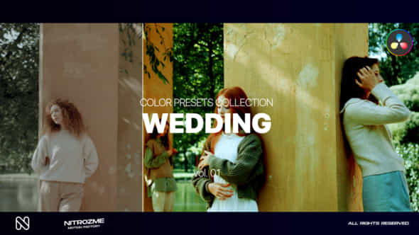 Wedding Lut Vol 01 For Davinci Resolve - VideoHive 48999763