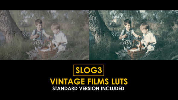 Slog3 Vintage Films And Standard Luts - VideoHive 51043406