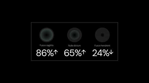 Infographics - VideoHive 58393336
