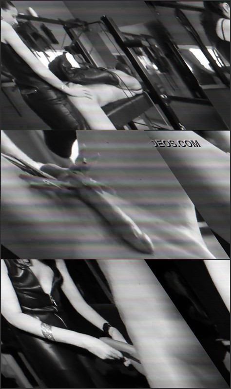 https://images2.imgbox.com/8b/8b/YzVSM8Pd_o.jpg