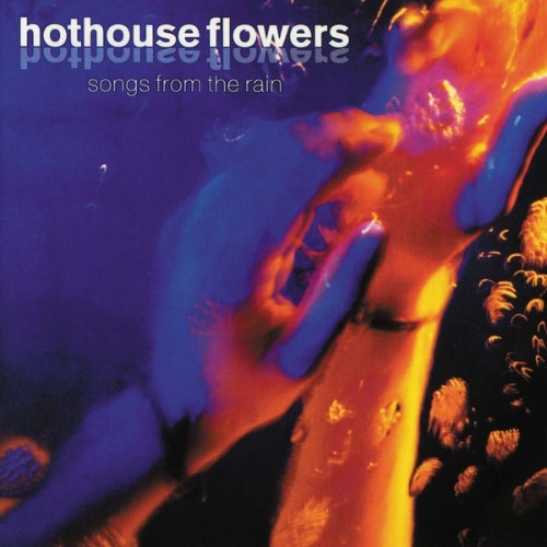Hothouse Flowers - Songs From The Rain - 1993