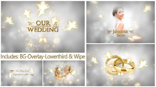 Our Wedding - The Complete - VideoHive 3070198