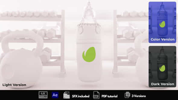 Gym Time - VideoHive 49300286