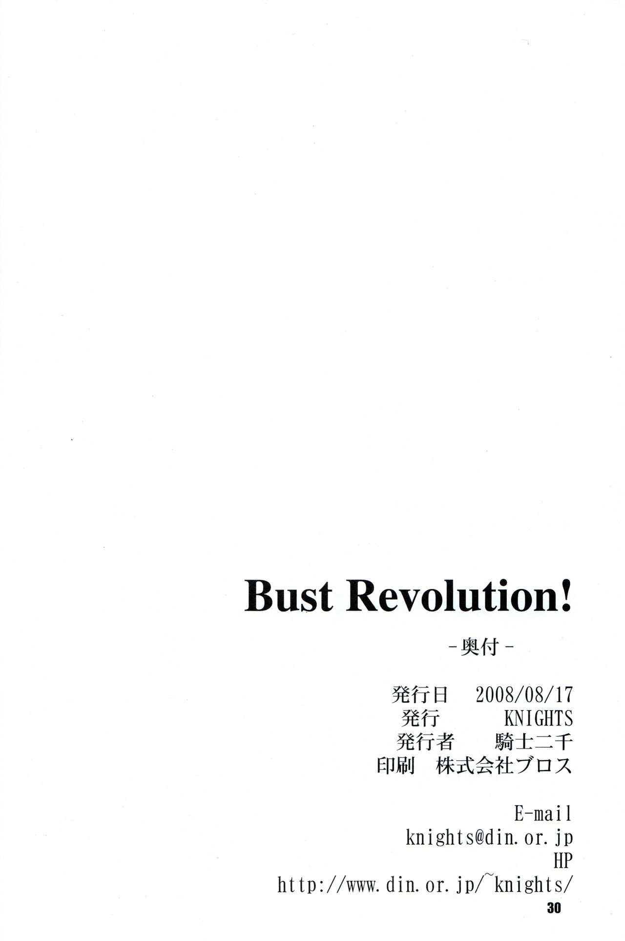 (C74) [KNIGHTS (Kishi Nisen)] Bust Revolution! (Zero no Tsukaima) - 28