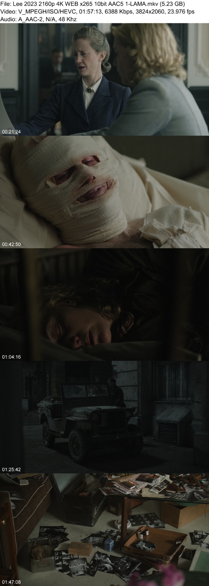 Lee (2023) 2160p 4K WEB 5 1-LAMA LyH212OO_o