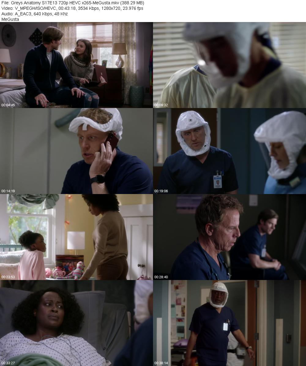 Greys Anatomy S17E13 720p HEVC x265