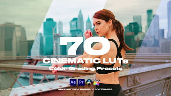 Cinematic LUTs Vol.1 - VideoHive 35150050