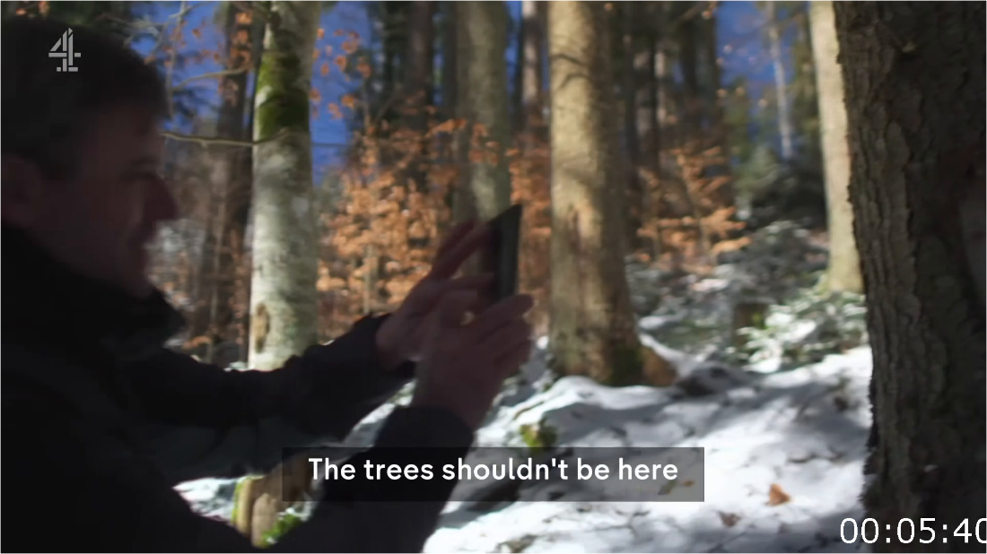 Ch4 Unreported World (2024) Romania's Timber Mafia [1080p] HDTV (x265) WV32x3UE_o