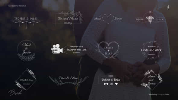 Wedding Titles - VideoHive 44478314