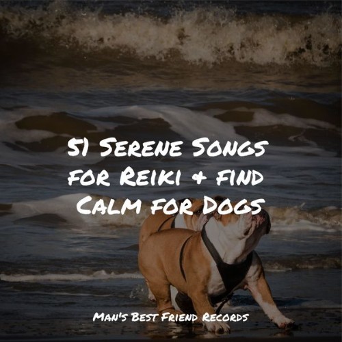 Music for Leaving Dogs Home Alone - 51 Serene Songs for Reiki & find Calm for Dogs - 2022