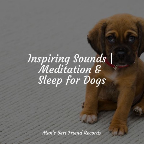 Music For Dogs - Inspiring Sounds  Meditation & Sleep for Dogs - 2022