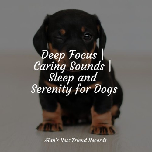 Music for Dogs Collective - Deep Focus  Caring Sounds  Sleep and Serenity for Dogs - 2022