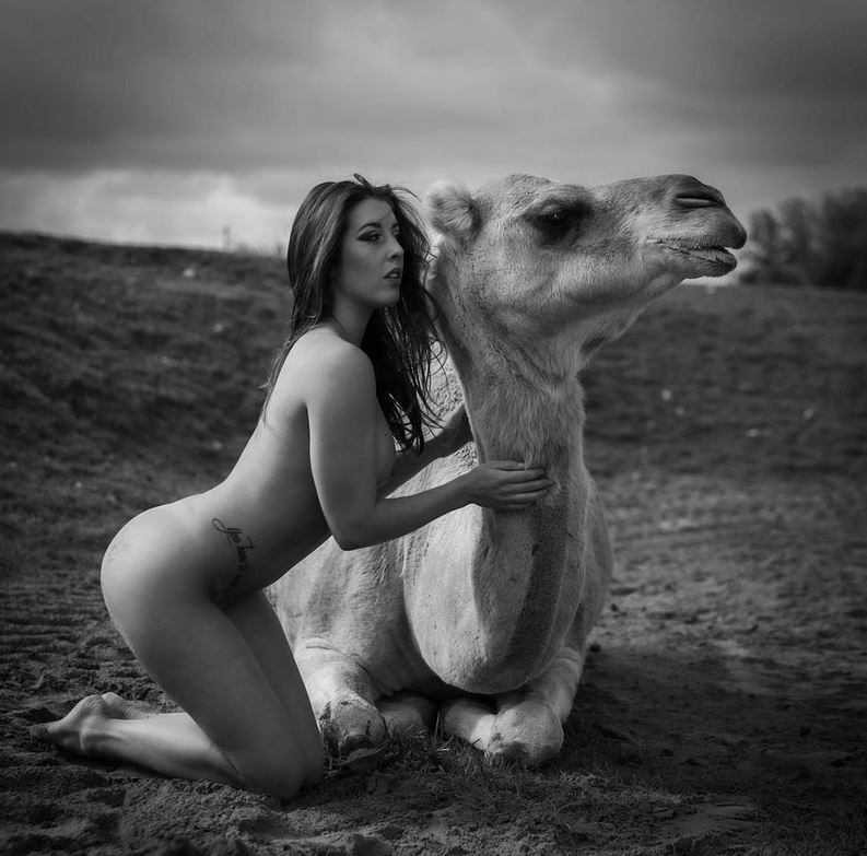 Immagine