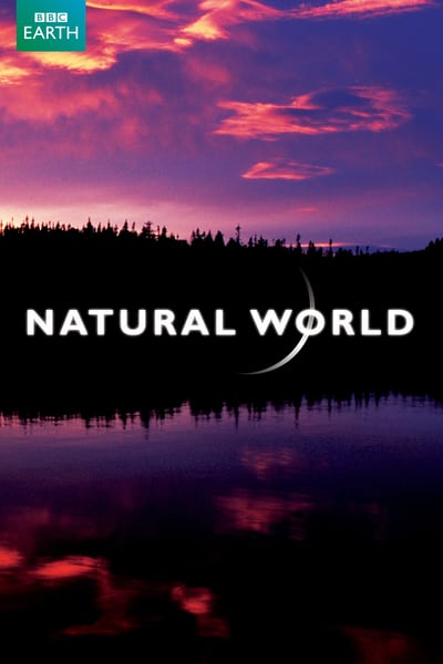 Natural World S38E09 Weasels Feisty and Fearless HDTV x264-UNDERBELLY