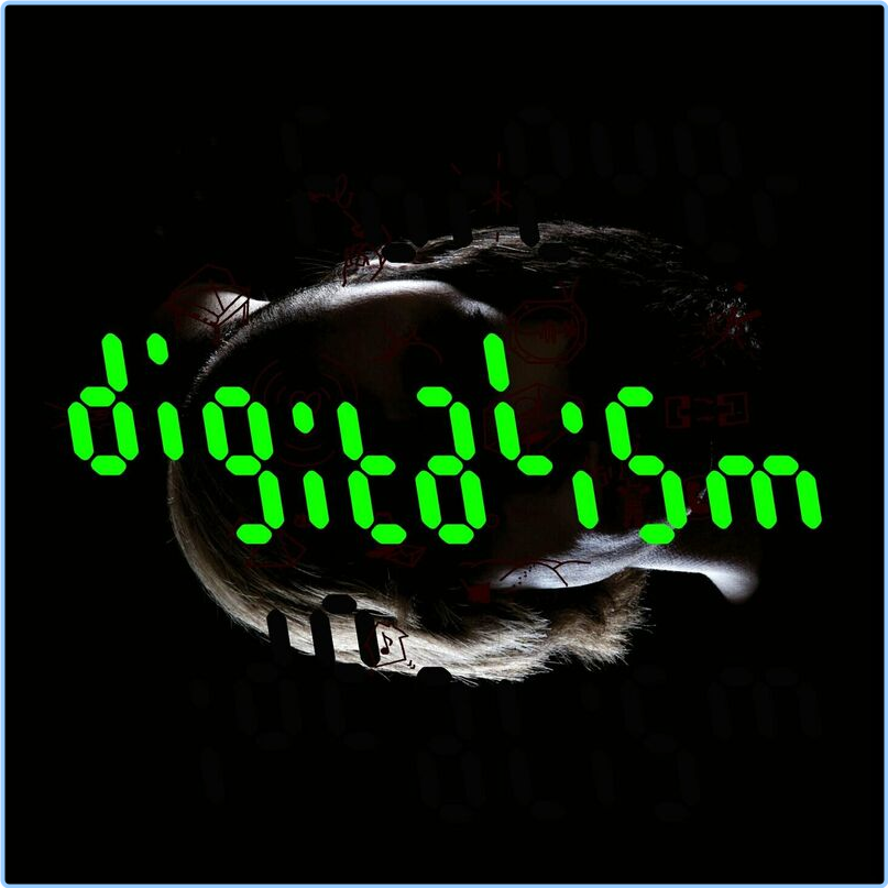 Digitalism Idealism Forever Anniversary Edition (2024) [320 Kbps] CUnHXwcj_o