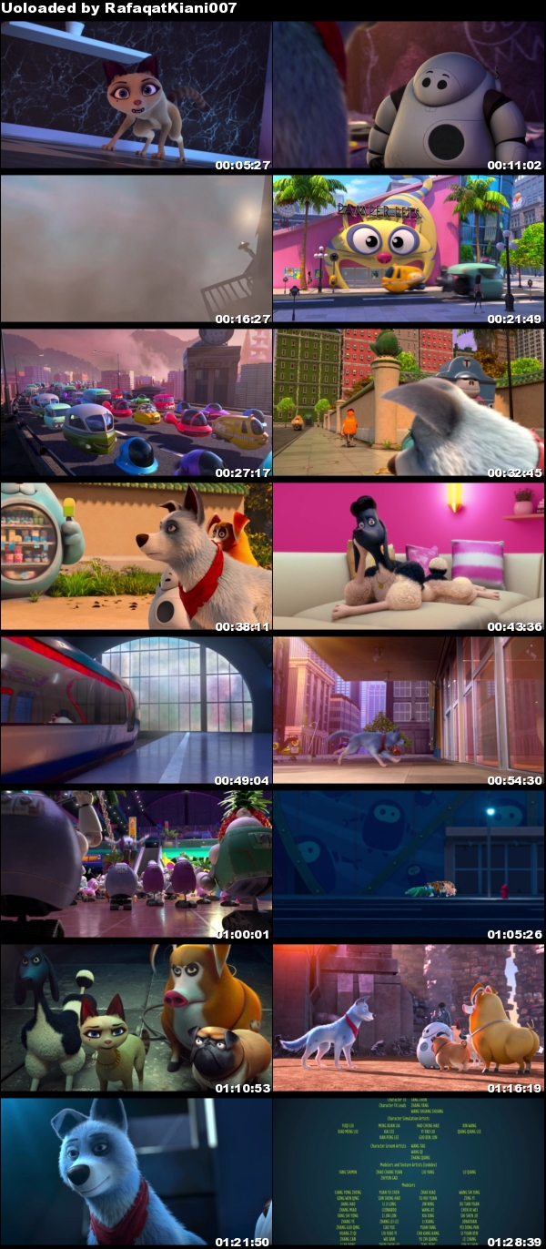 Pets United (2020) 1080p NF WEB-DL H264 DDP5.1 H264-EVO Pets United (2020) 1080p NF WEB-DL H264 DDP5.1 H264-EVO