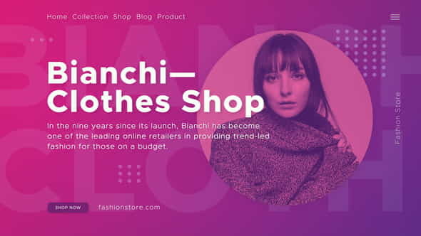 Fashion Shop - VideoHive 22880991