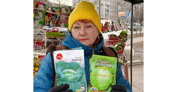 «Агресор» добрий на засолку. «Козачок» — на салати «Агресор» добрий на засолку. «Козачок» — на салати