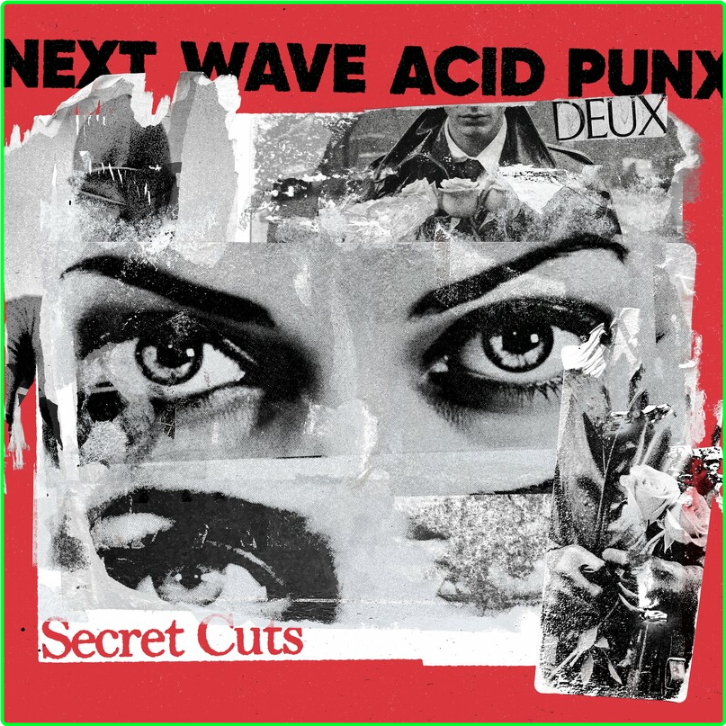 Curses Next Wave Acid Punx DEUX Secret Cuts (2024) WEB [FLAC] 16BITS 44 1KHZ G34Or45H_o