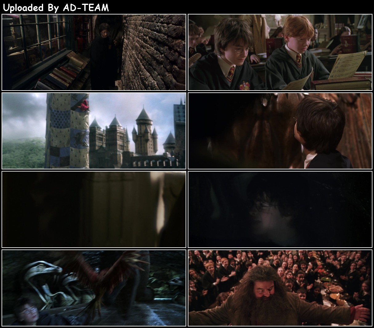 Harry Potter And The Chamber of Secrets 2002 EXTENDED 1080p BluRay H264 AAC-RARBG YjyMA29n_o