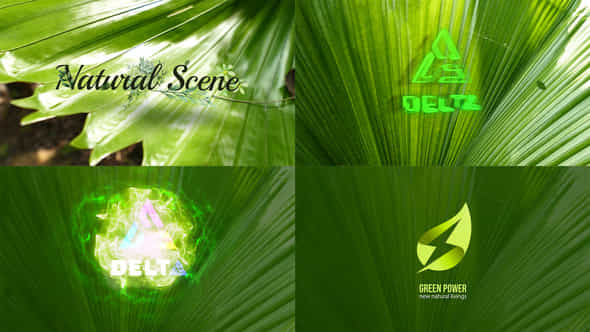 Nature Logo Reveal - VideoHive 43254659