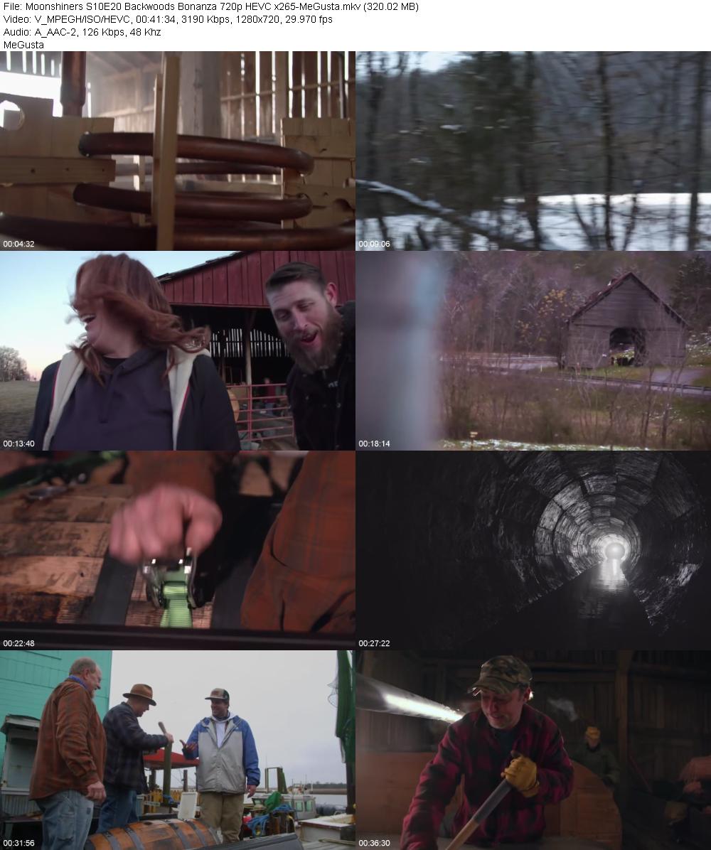 Moonshiners S10E20 Backwoods Bonanza 720p HEVC x265