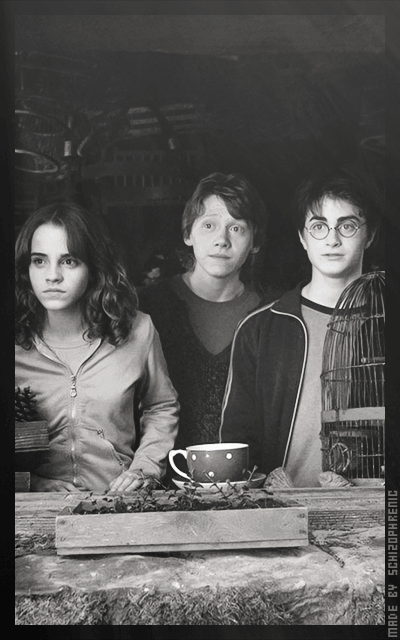 Harry Potter 3529Q77F_o