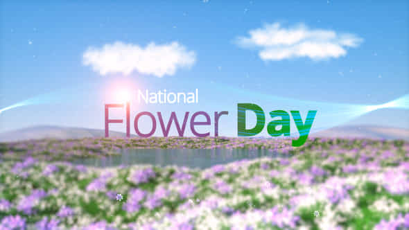 Flower Day Opener - VideoHive 50212648