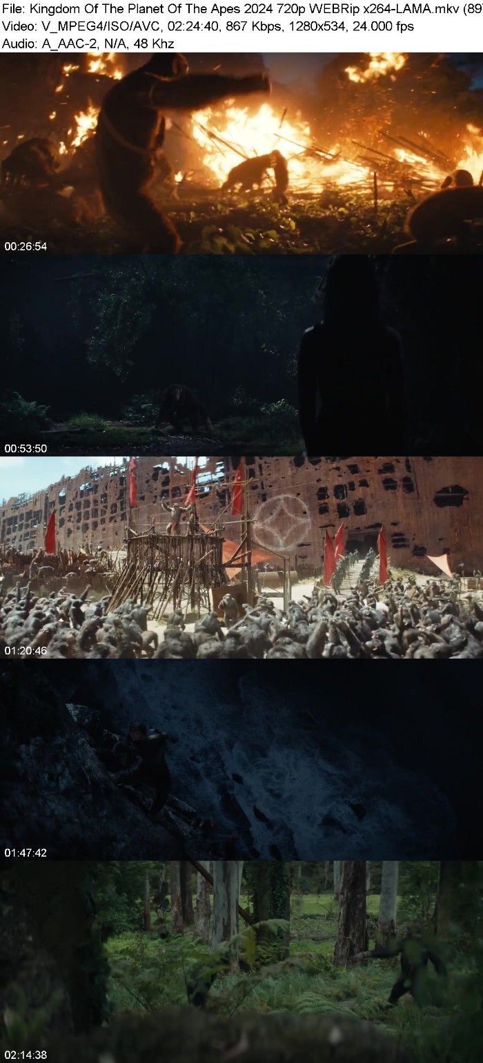 Kingdom Of The Planet Of The Apes 2024 720p WEBRip x264-LAMA PDA1goX1_o