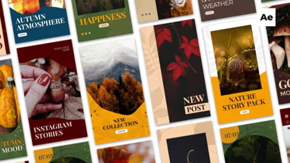 Autumn Instagram Stories - VideoHive 33899657