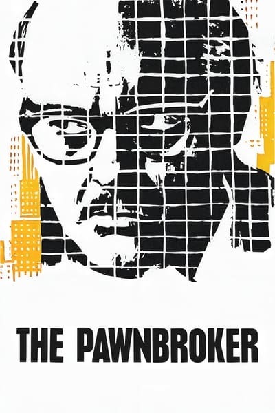 The Pawnbroker 1964 1080p BluRay Flac x265 HEVC-Nb8