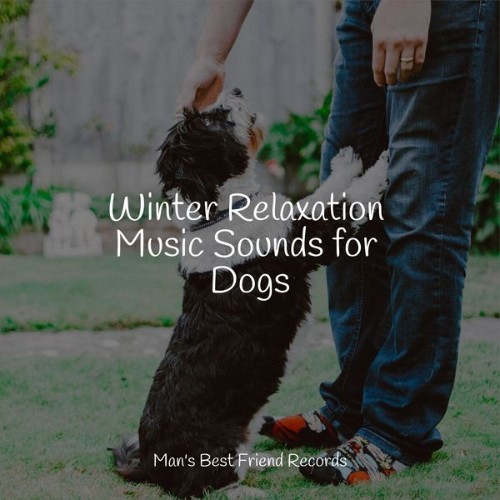 Sleeping Music For Dogs - Winter Relaxation Music Sounds for Dogs - 2022