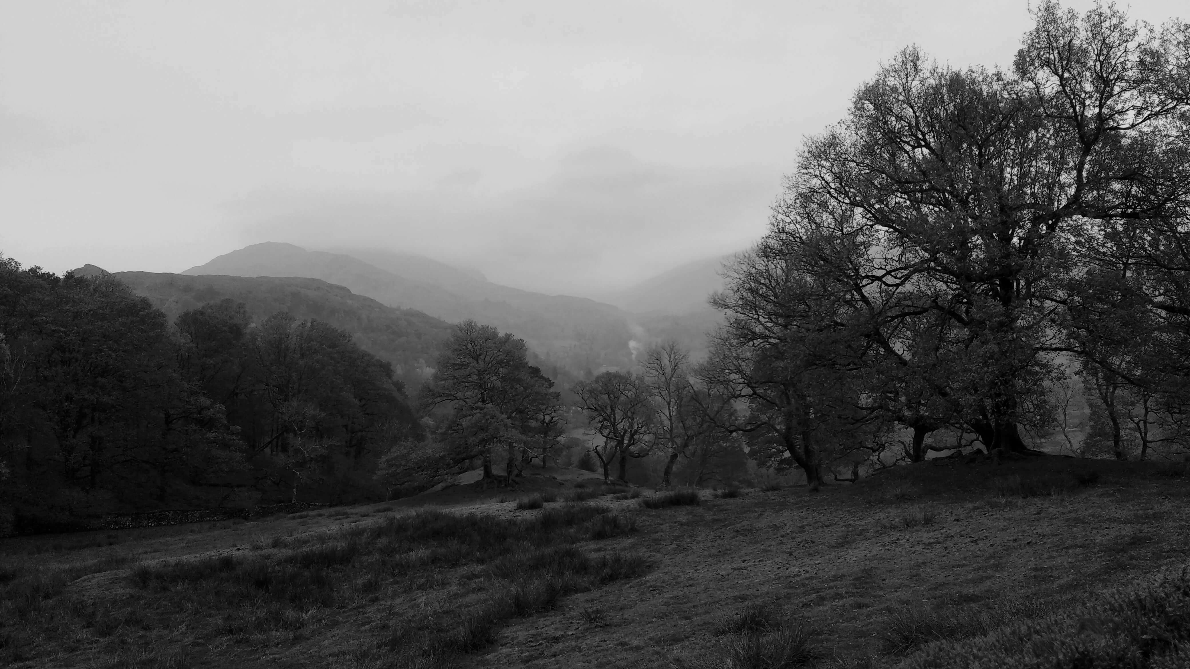 A field and mountains shrouded in mist