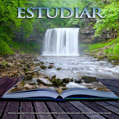 Música Para Leer - Estudiar Música relajante y sonidos relajantes de la naturaleza para estudiar ...