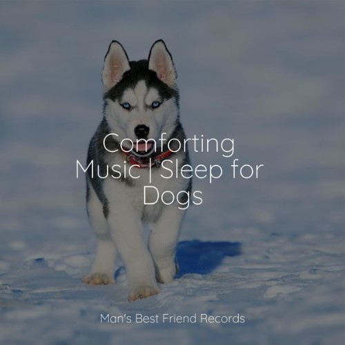 Official Pet Care Collection - Comforting Music  Sleep for Dogs - 2022