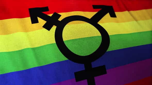 Transgender Bisexual Gay Pride Flag - VideoHive 27309194