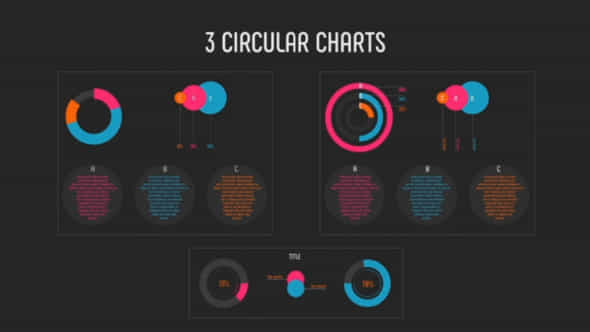 Modern Designed Infographic Pack - VideoHive 19642900