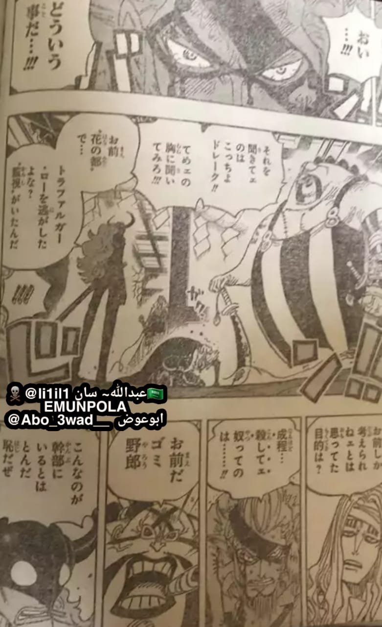 Spoilers 990: Fuerza solitaria - Página 20 • Foro de One Piece