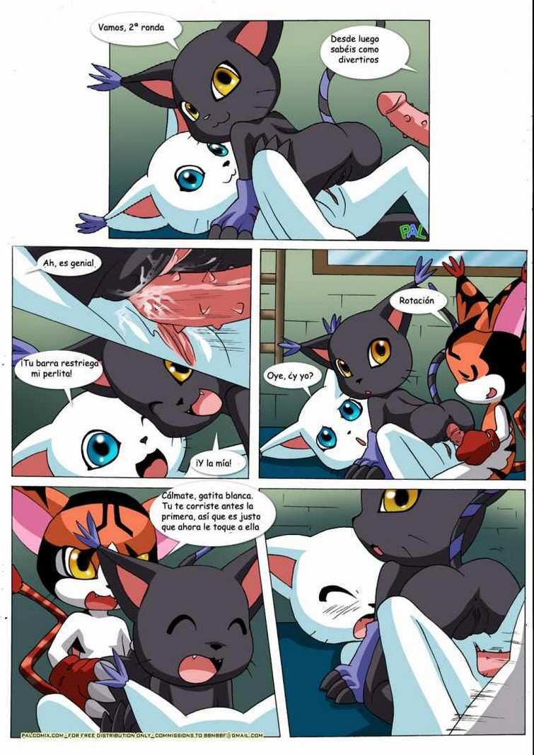 Gatomon en Celo 1 - 9