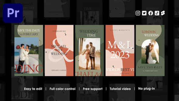 Wedding Instagram Stories - VideoHive 48695009