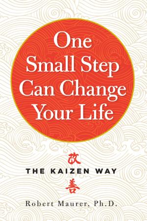 One Small Step Can Change Your Life   The Kaizen Way